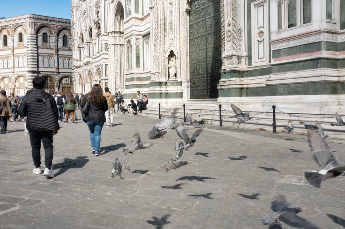 Marble facade of Florence cathedral in bright mid-morning light with pigeons lifting off the piazza stones